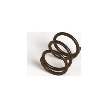 RC náhradní díl Graupner/Soar Servo saver pružina (1 ks.)