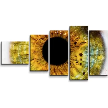 Obraz Sablio Obraz - 5-dílný Oko - 100x60 cm