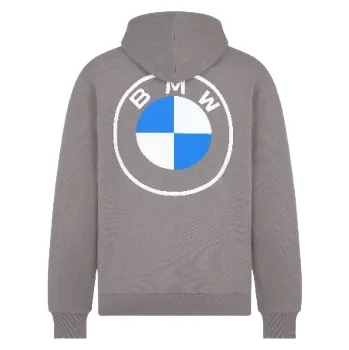 Pánská mikina BMW mikina Logo Reverse, šedá s kapucí Velikost: M 80 14 5B5F4B2