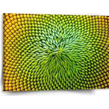 Obraz Sablio Obraz Detailní květ - 150x110 cm