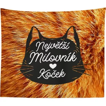 deka Sablio Deka Největší milovník koček: 150x120 cm