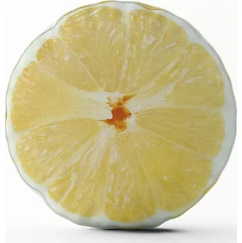 Polštář Sablio 3D polštář ve tvaru Citron