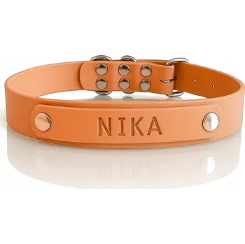 Obojek pro psa Obojek pro malého / velkého psa s gravírovaným jménem, voděodolný, béžový, velikost M