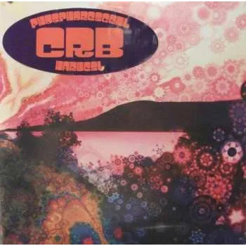 Zahraniční hudba CD The Chris Robinson Brotherhood: Tornado 2020