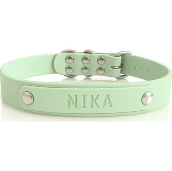 Obojek pro psa Obojek pro malého / velkého psa s gravírovaným jménem, voděodolný, mátový, L