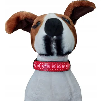 Obojek pro psa SVÍTÍCÍ ČERVENÝ OBOJEK PRO PSA S UCHYCENÍM NA VODÍTKO SHIH TZU MOPS S