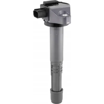 Zapalovací cívka Zapalovací cívka BorgWarner ZSE308