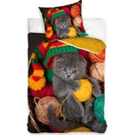 Carbotex Koťátko v košíku s klubíčky…