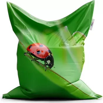 Sedací pytel Sablio Sedací vak Classic Beruška na listě - 150x100 cm