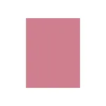 Inebrya Kromask Coloring Nourishing Mask barvicí maska na vlasy 250 ml odstín Violet unisex