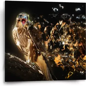 Obraz Sablio Obraz Dravec - 50x50 cm