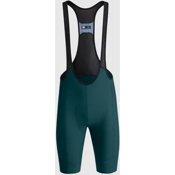 Cyklistické kalhoty SPORTFUL Cyklistické kalhoty krátké s laclem - COLORFUL PULSE - světle zelená L