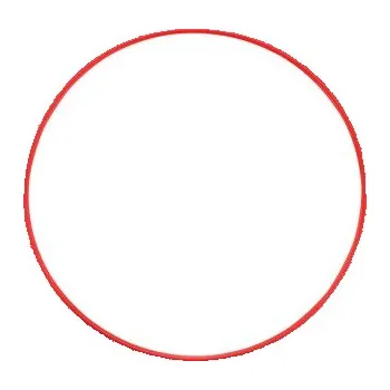 Ochrana fotoaparátu a videokamery OLYMPUS POL-058 - Oring