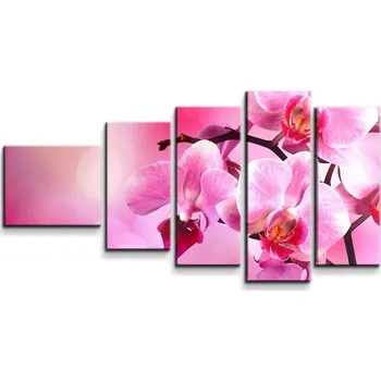 Obraz Sablio Obraz - 5-dílný Květy orchideje - 100x60 cm