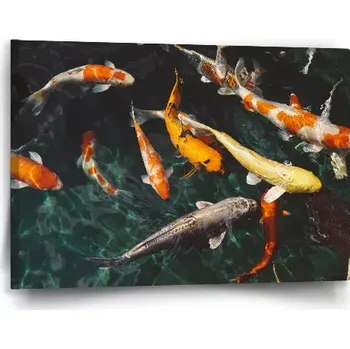 Obraz Sablio Obraz Ryby - 60x40 cm