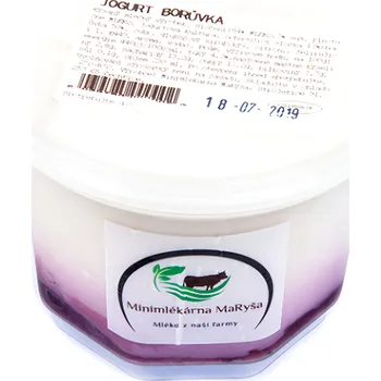 MaRyša Jogurt borůvkový 230ml