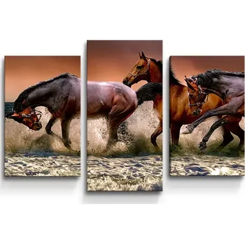 Obraz Sablio Obraz - 3-dílný Koně ve vodě - 75x50 cm