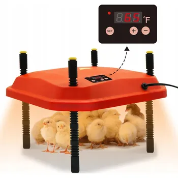 Obraz Topná deska umělá kvočna pro odchov kuřat 25 x 25 cm