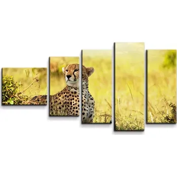 Obraz Sablio Obraz - 5-dílný Gepard - 100x60 cm