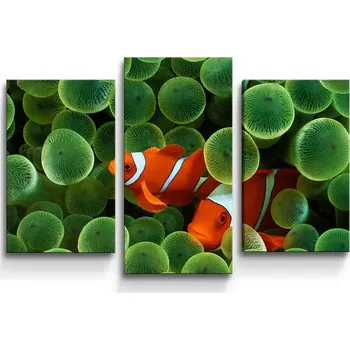 Obraz Sablio Obraz - 3-dílný Klaun očkatý - 75x50 cm