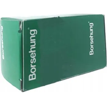 Zavěšení kol Borsehung B19109 Rameno , odpružení kol