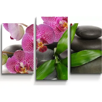 Obraz Sablio Obraz - 3-dílný Orchideje a kameny - 75x50 cm