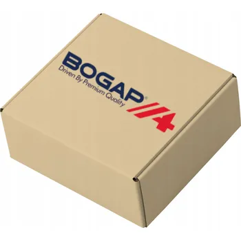 Olejové čerpadlo Olejové čerpadlo - BOGAP A1410107