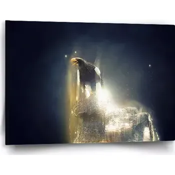 Obraz Sablio Obraz Orel - 60x40 cm