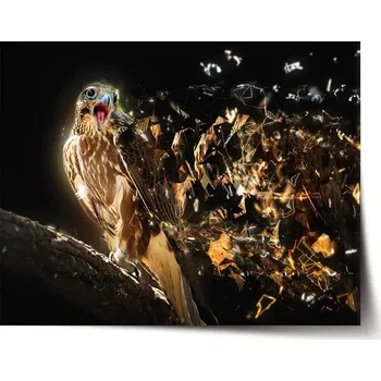 Plakát Sablio Plakát Dravec - 120x80 cm