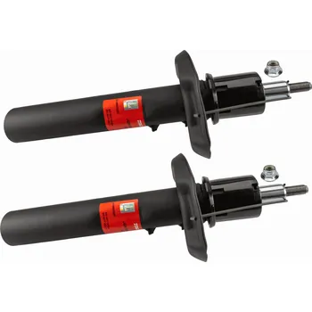 Zavěšení kol TRW JGM1058T Tlumič