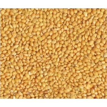 Pro ptáka Žluté Proso Suché Čištěné Pro Ptáky Zimující Papoušky a Exotické Ptactvo 5kg