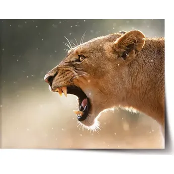 Plakát Sablio Plakát Rozzuřená lvice - 120x80 cm