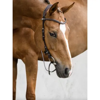 PS of Sweden Uzdečka Helsinki PS of Sweden, hnědá COB