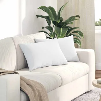 Pohovkové polštáře 2 pcs Bílá 60 x 40 cm textil