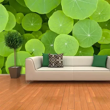 Tapeta Sablio Tapeta Listy leknínu - 208x125 cm