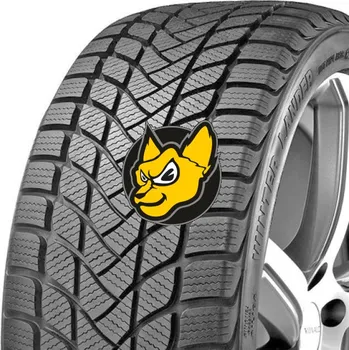 Zimní osobní pneu Landsail Winter Lander 205/55 R16 91T M+S