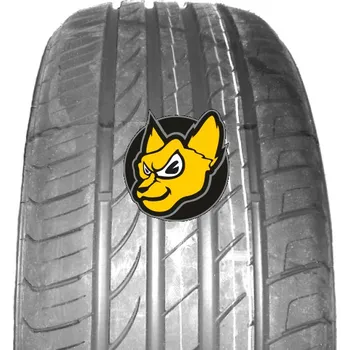Doublestar DU01 205/55 R16 94W XL