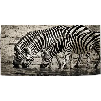 Osuška Sablio Ručník Zebry u vody - 50x100 cm