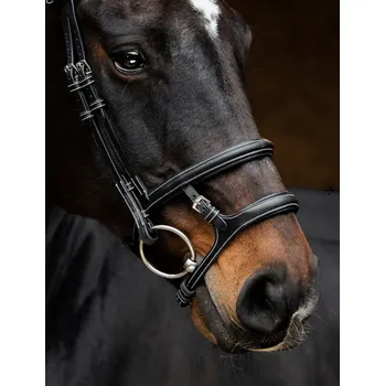 PS of Sweden Uzdečka Paris PS of Sweden, černá FULL