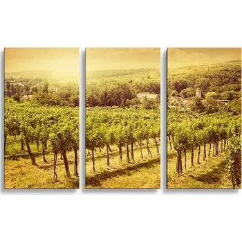 Obraz Sablio Obraz - 3-dílný Vinice - 120x80 cm