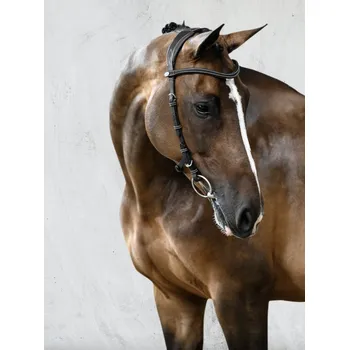 PS of Sweden Uzdečka Helsinki PS of Sweden, černá COB