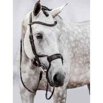 PS of Sweden Uzdečka High Jump PS of Sweden, černá COB