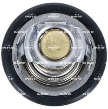Těsnění motoru Termostat, chladivo NRF 725323