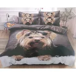 Aaram 3D povlečení 140x200+70x90-koťátka