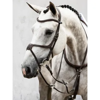 PS of Sweden Uzdečka Athens PS of Sweden, hnědá COB