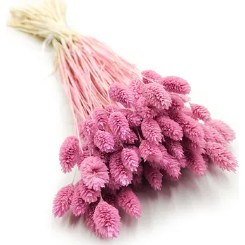 mech-mech.cz Sušený Phalaris - Vřesový