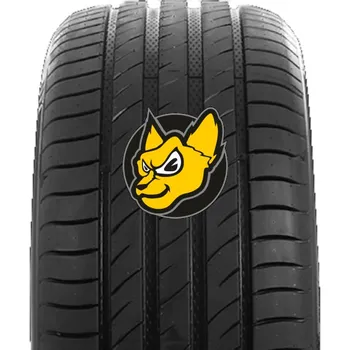 Letní osobní pneu Delinte DS2 255/40 R20 101Y XL