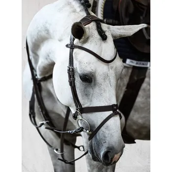 PS of Sweden Uzdečka London PS of Sweden, černá COB