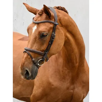 PS of Sweden Uzdečka Stockholm PS of Sweden, hnědá COB