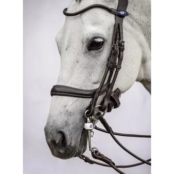 PS of Sweden Nánosník Paragon PS of Sweden, hnědý COB